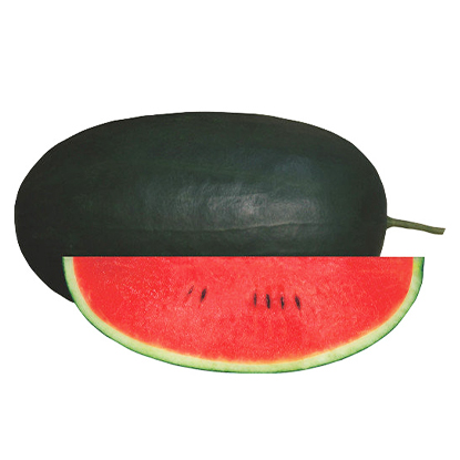 HY. Watermelon